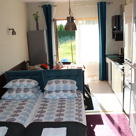 3-studio Apartment Poznan