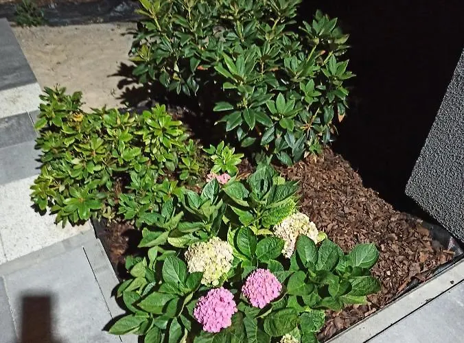 Lägenhet 3-studio *