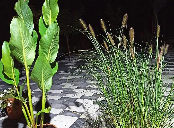 3-studio بوزنان